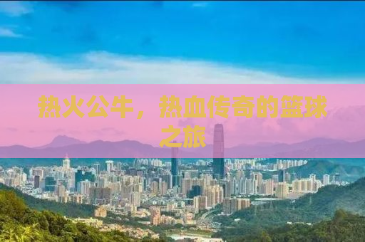 热火公牛，热血传奇的篮球之旅