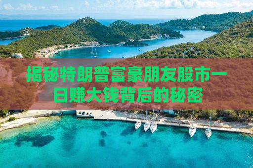 揭秘特朗普富豪朋友股市一日赚大钱背后的秘密